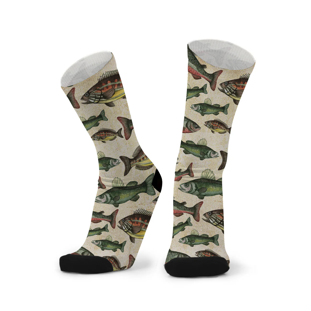 Socks Fish