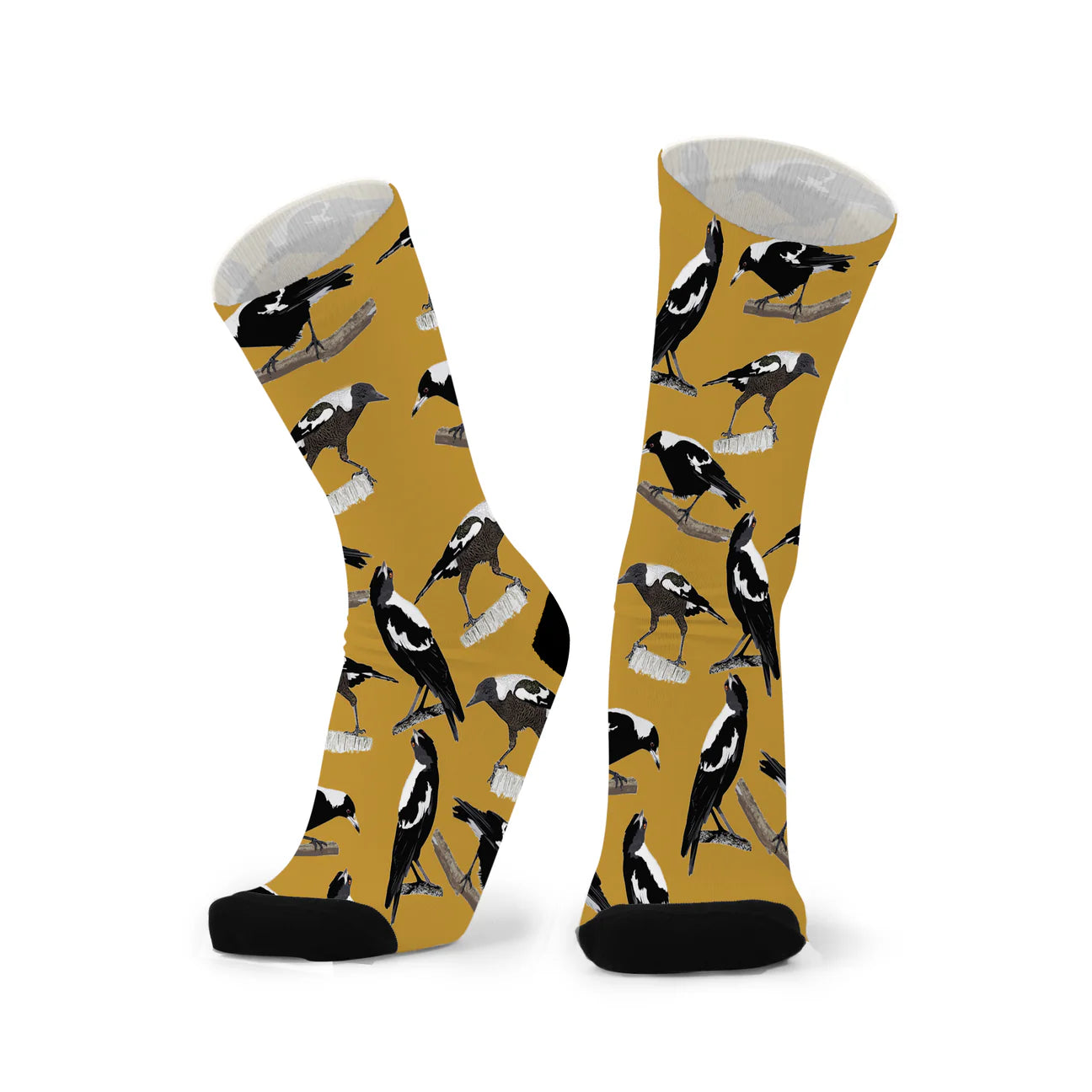 Socks Magpie