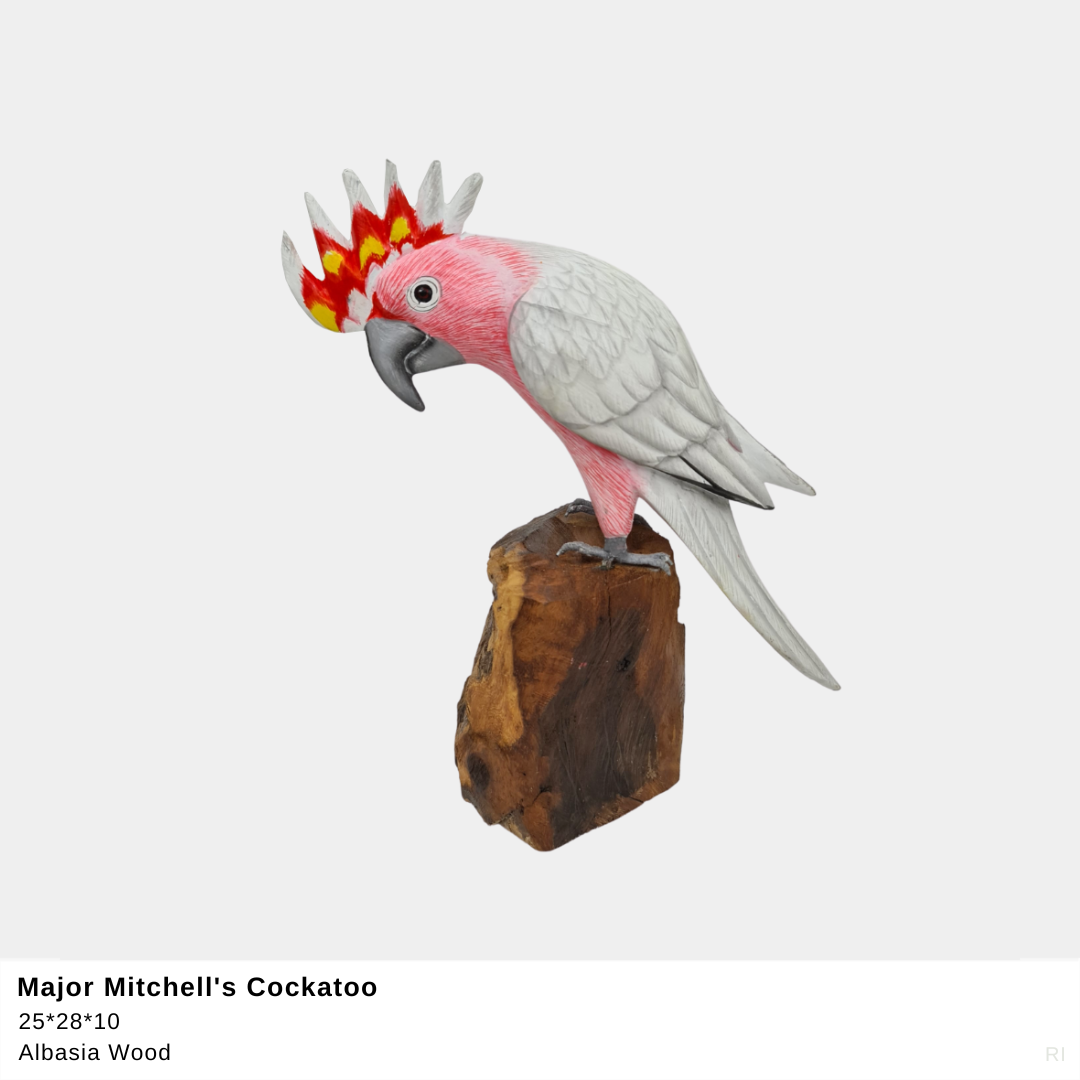 Major Mitchell Cockatoo