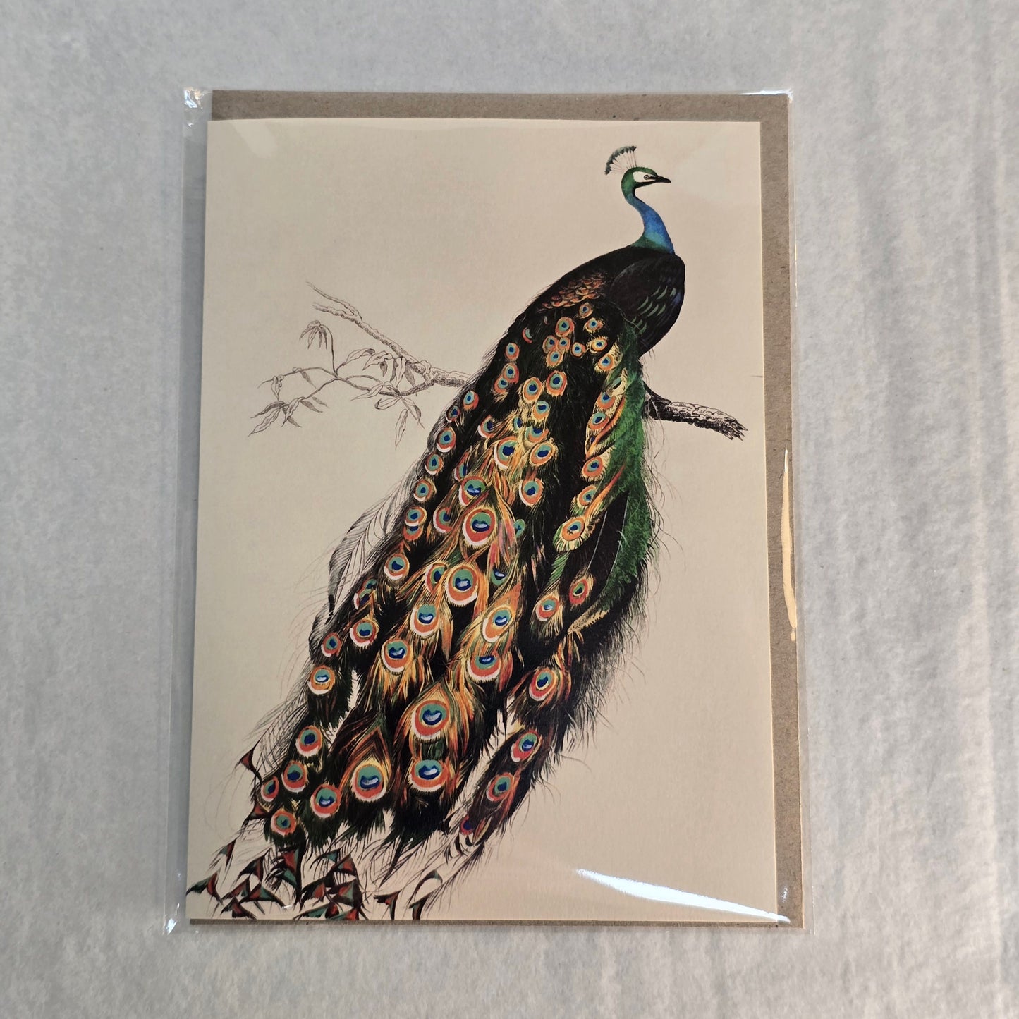 Nuovo Card - Peacock