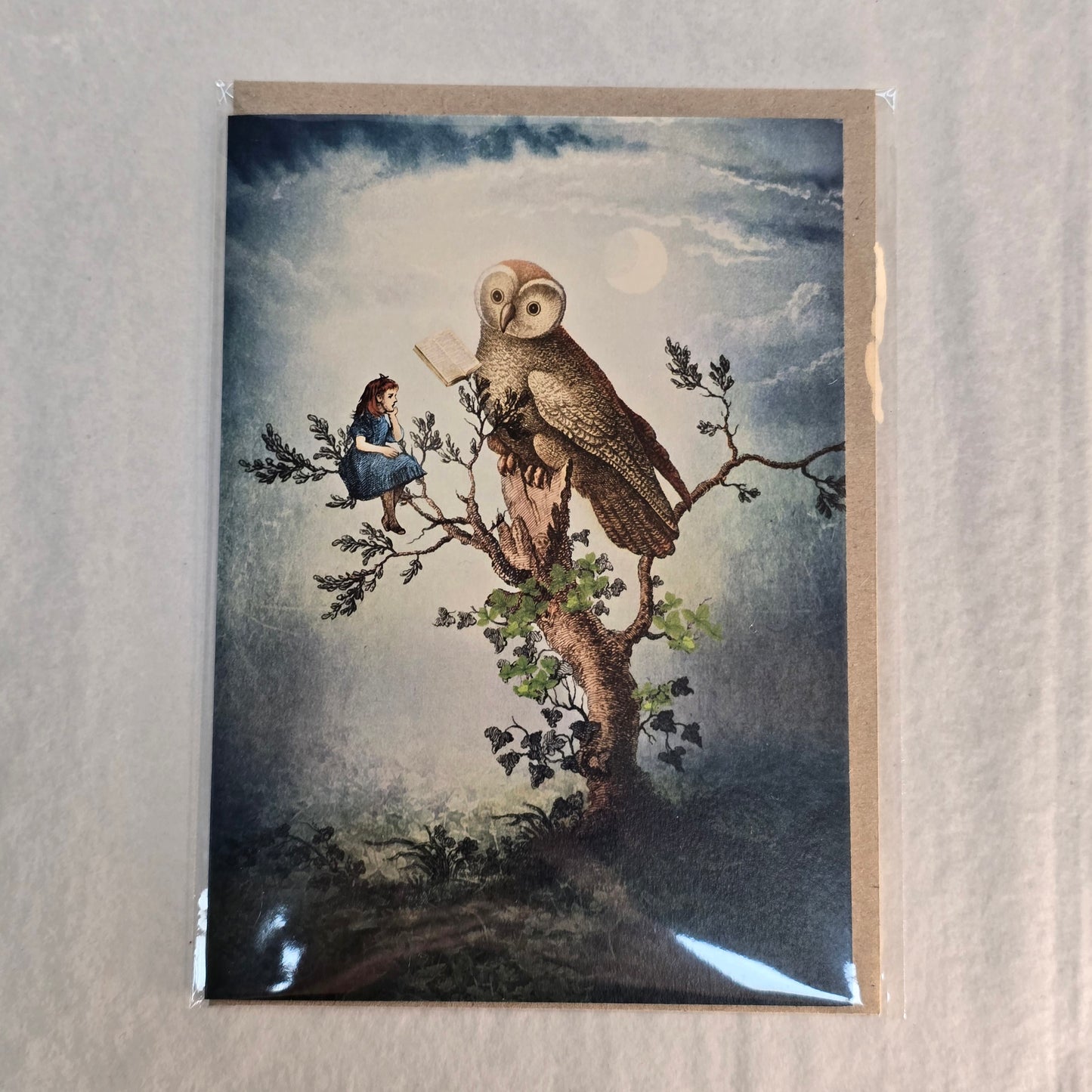 Nuovo Card - Owl in Tree