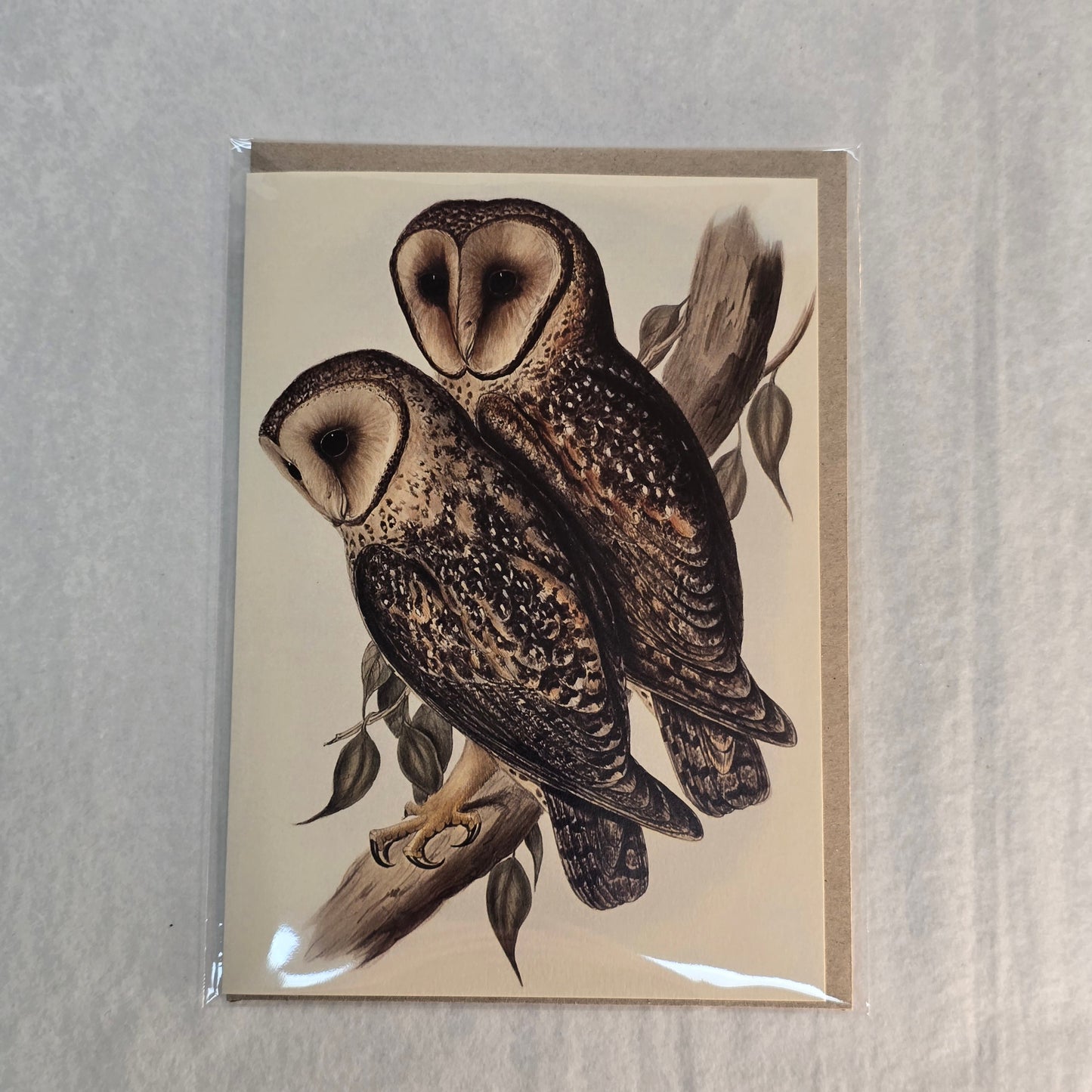 Nuovo Card - Owl Couple