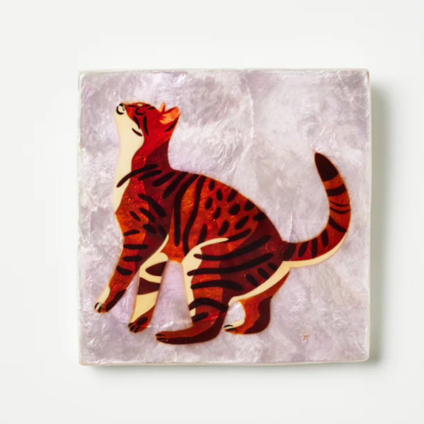 Purr-Bengal Cat