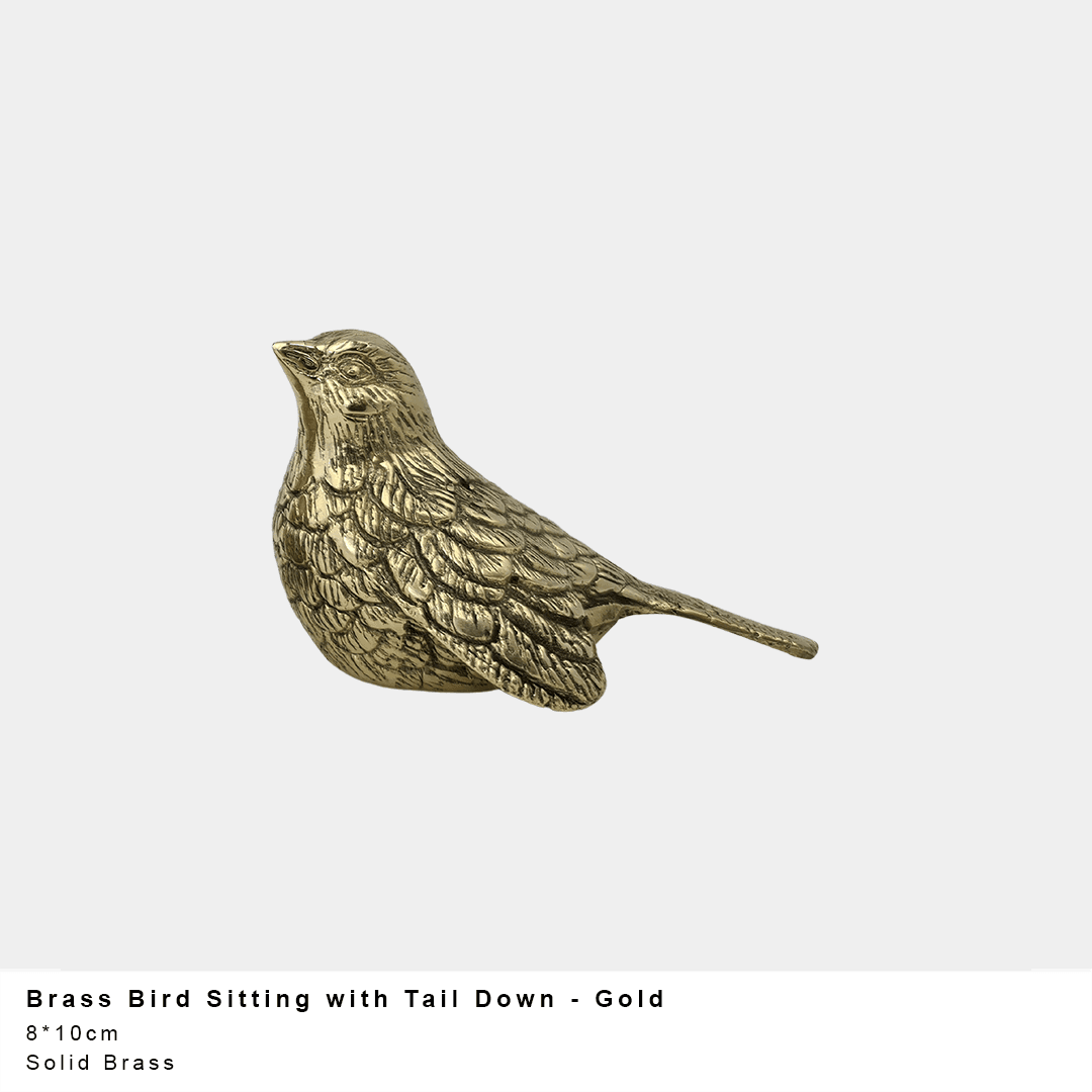 Bird Sitting with Tail Down