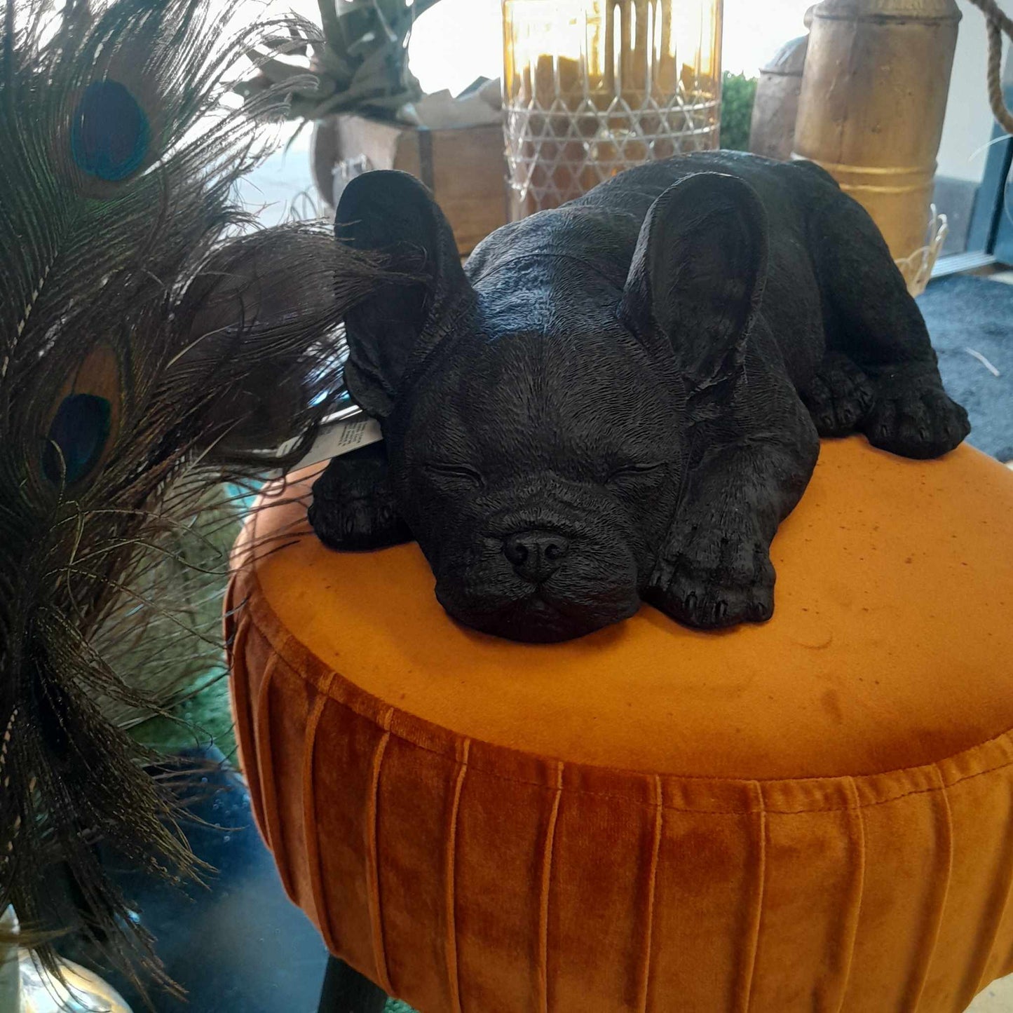 Sleeping Frenchie