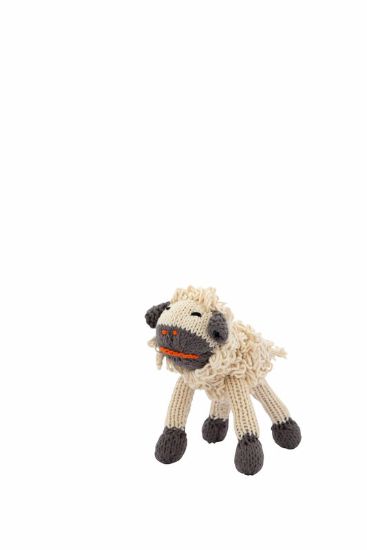 Org Cot Rascal Sheep