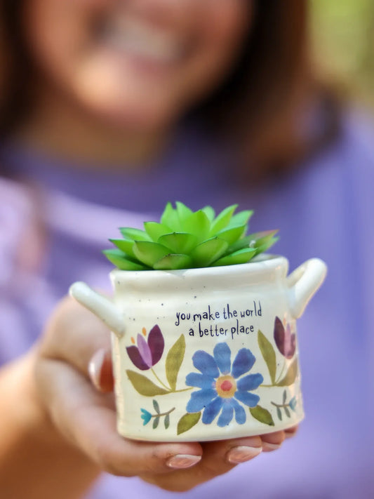 Jug Pot Plant