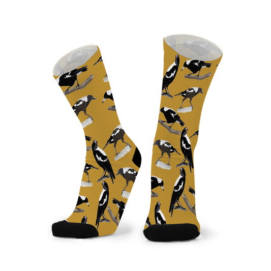 Socks Magpie