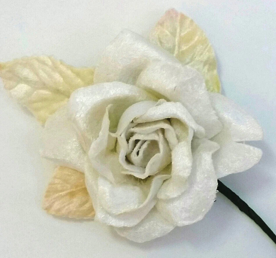 Velvet Rose