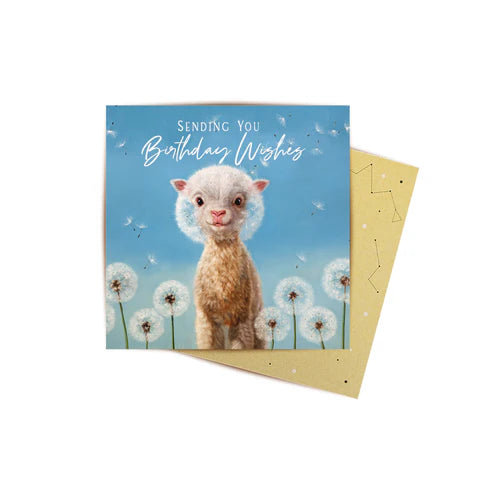 Mini Card - Best Wishes Lamb