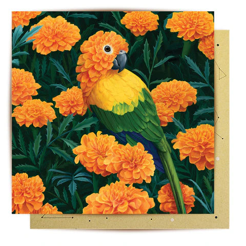CARD - Cempazuchitl