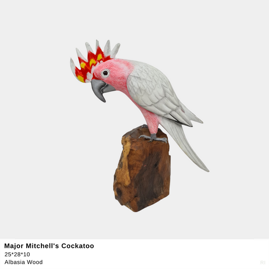 Major Mitchell Cockatoo