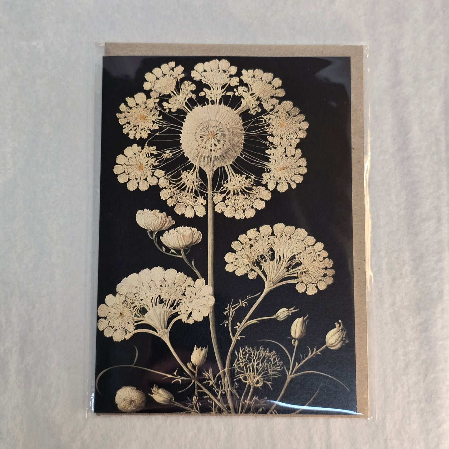 Nuovo Card - Dried Flower