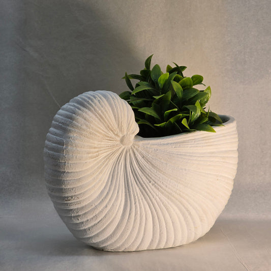 Shell Pot Plant