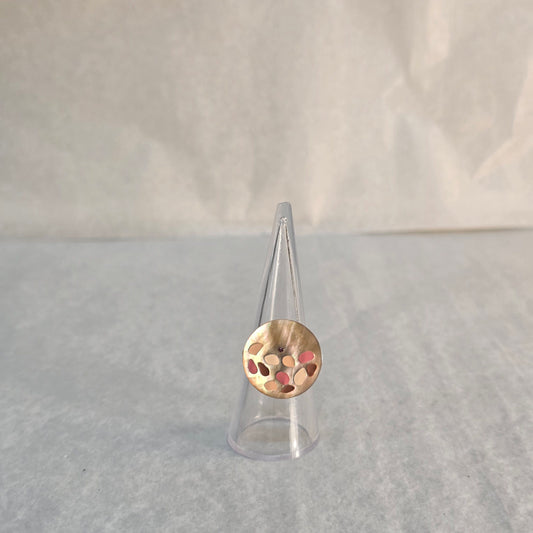 Disc Adjustable Ring