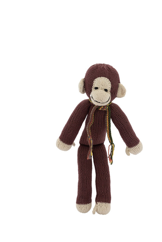 Spider Monkey M