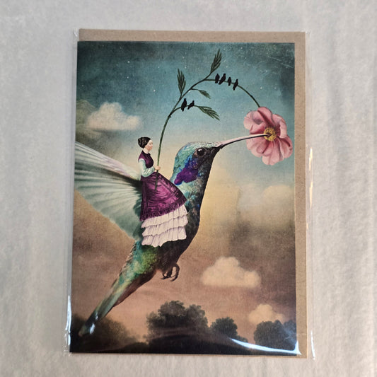 Nuovo Card - Hummingbird