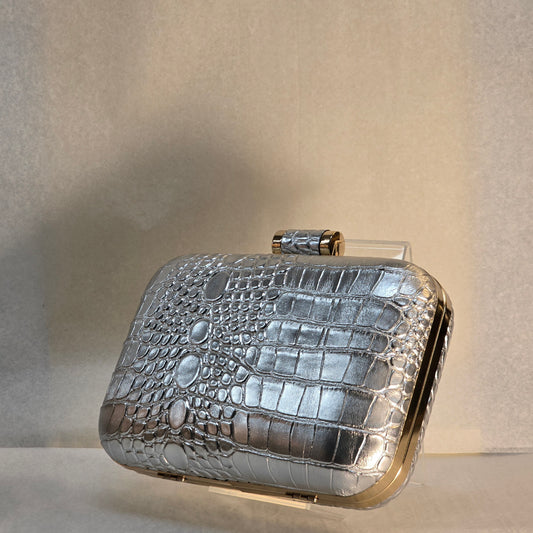 Silver and Gold Skin Clutch