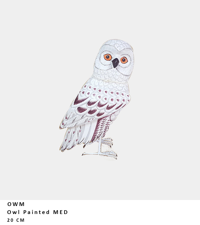 Barn Owl Painted