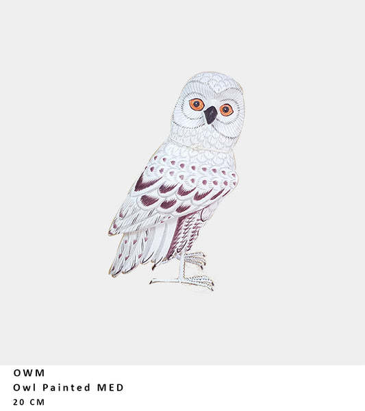 Barn Owl Painted